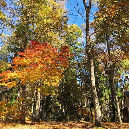 Villa Labo Land Kurohime Shinano  Esterno foto