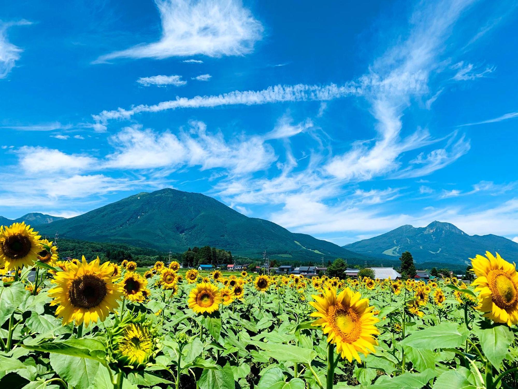 Villa Labo Land Kurohime Shinano  Esterno foto
